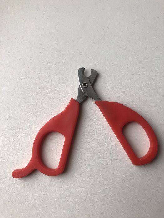 Ножницы для стрижки когтей домашних животных