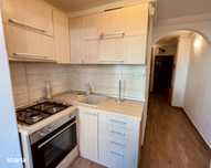 Apartament 1 camera de vanzare