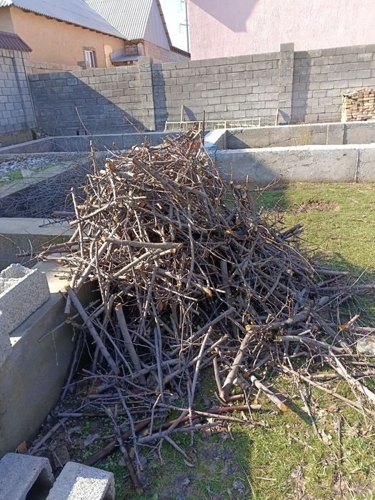 Отын ағайындар кімге керек