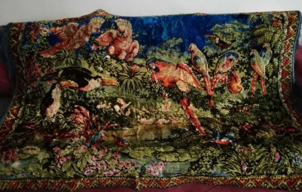 Carpeta cu papagali