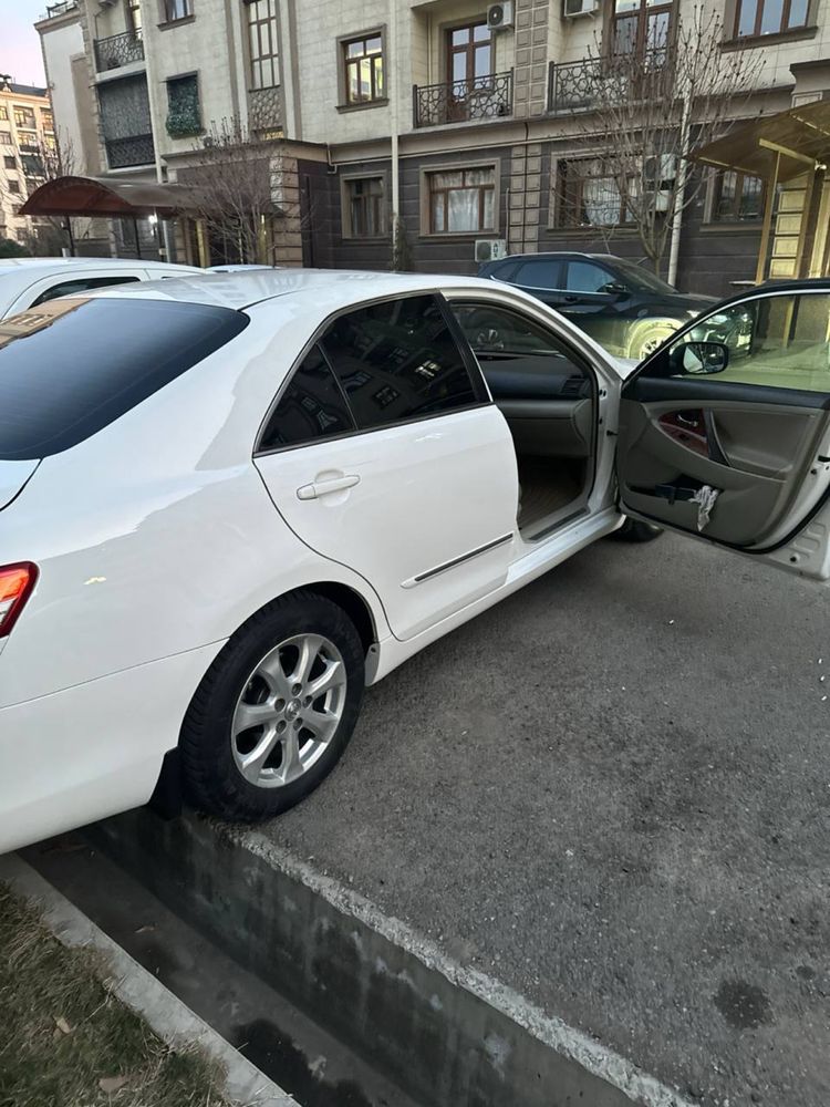 toyota camry 40 ideal