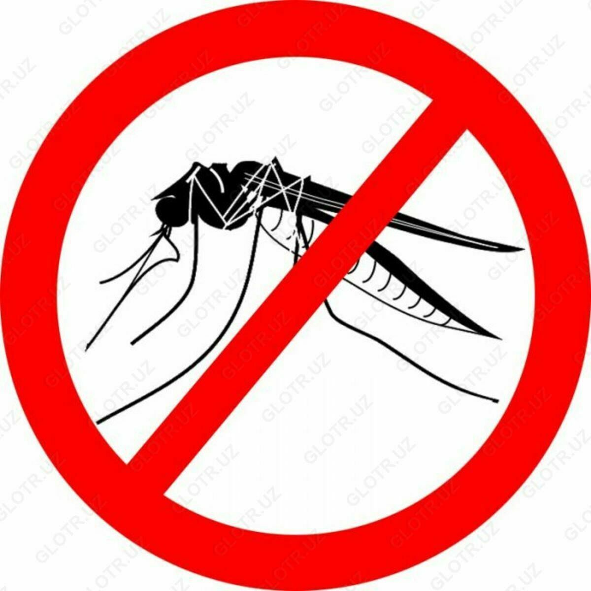 Дезинфекция от мух и коморов