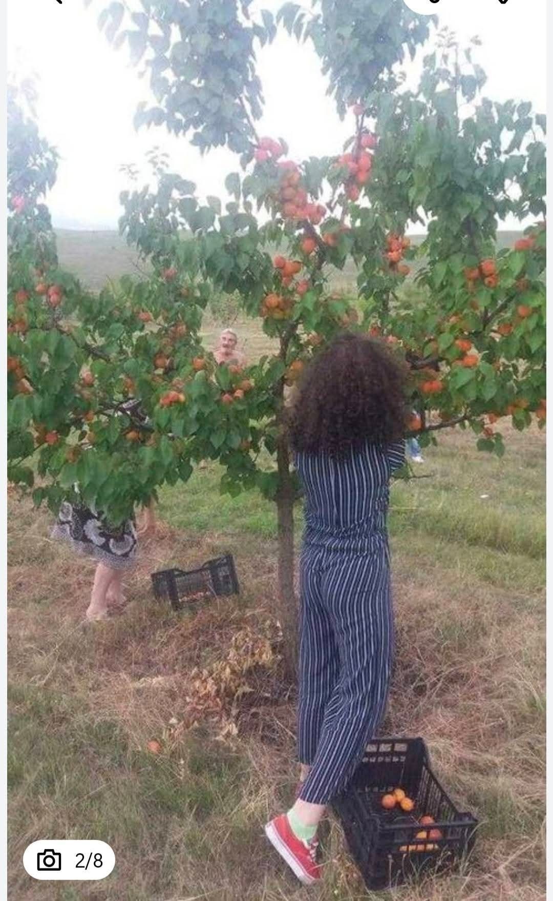 Livadă Sântimbru
