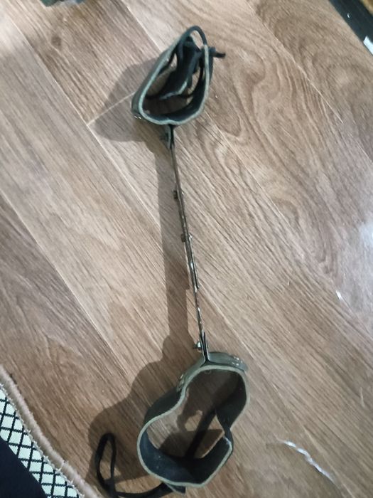 Шина зиленского.