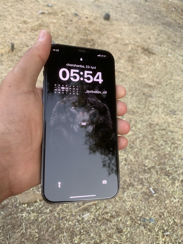 iPhone 12 pro max