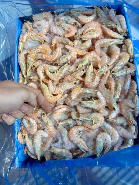 Креветки королевские оптом