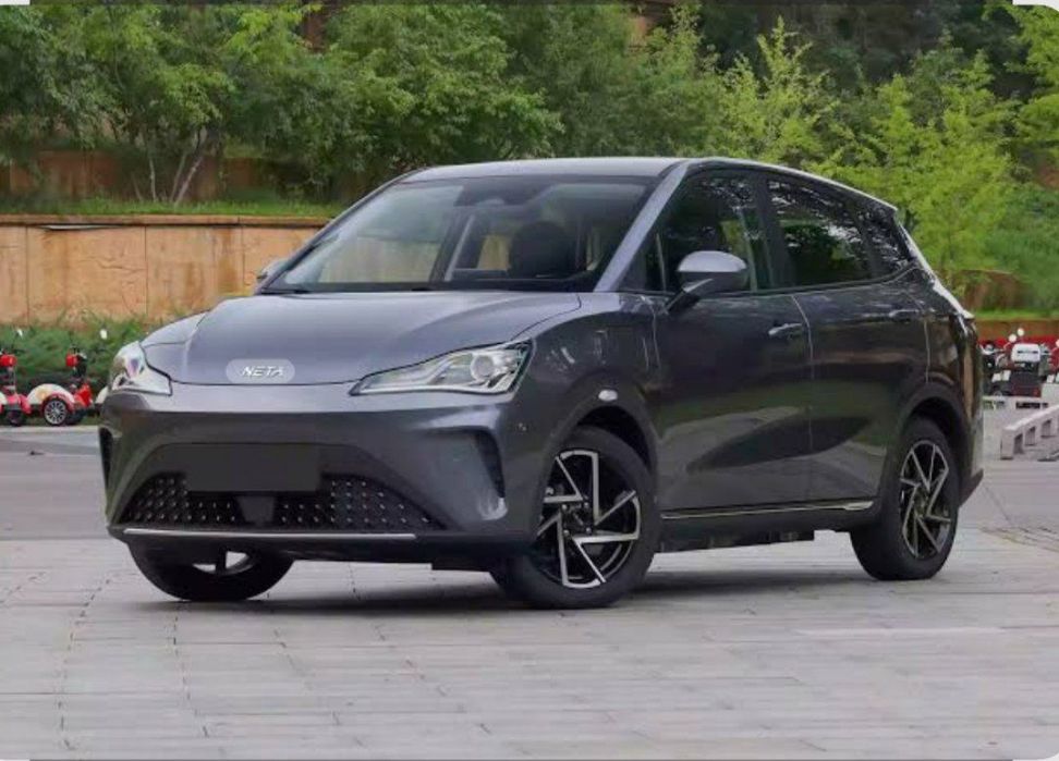 Netta aya electro 401.km