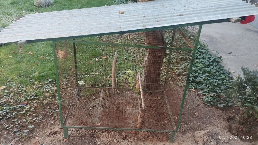 Qafas ugolniydan yasalgan