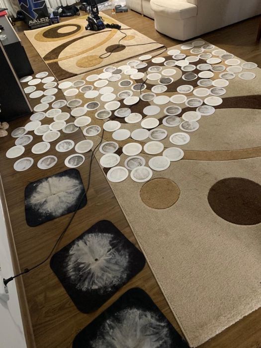 Aspirare profesională acarieni – canapele, saltele, covoare