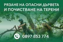 Рязане на опасни дървета и почистване не терени – Безплатен оглед