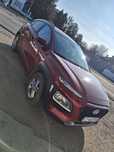 Vand Hyundai kona