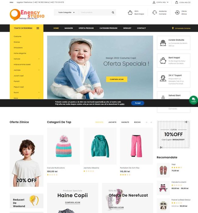 Magazin online dropshipping la cheie / servicii web / seo / ads