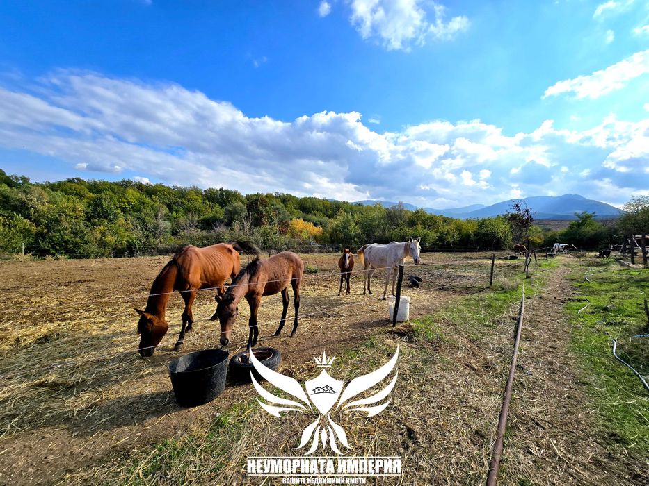 Продавам обор, краварник, склад 1303кв.м. и земя 24727кв. с.Долнослав