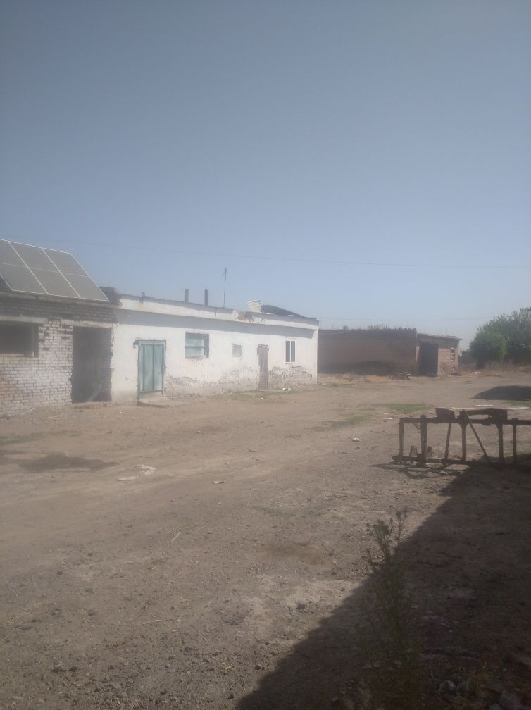 Ferma sotiladi 4 gektar hujati joyida