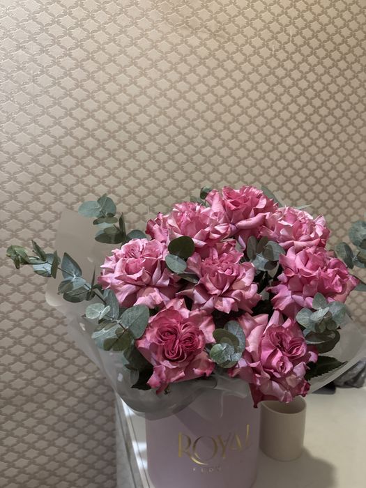 11 айфон гарантия