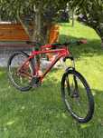 SPECIALIZED rockhopper 29”