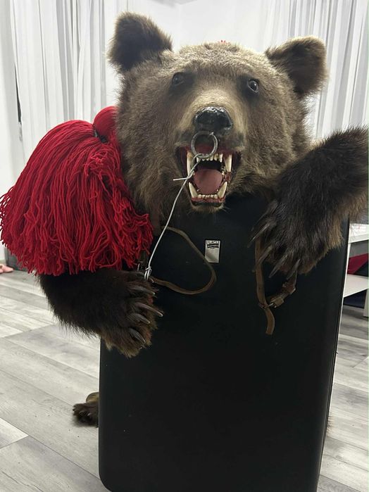 Vand piele blana de urs