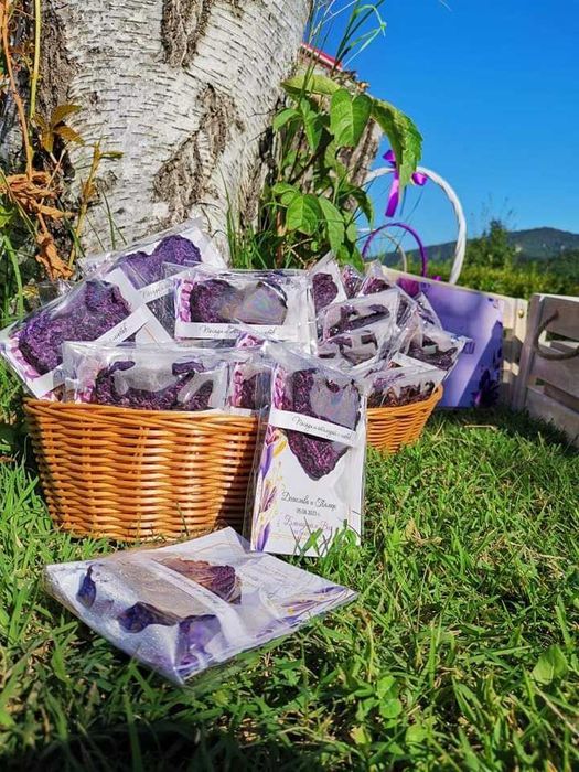 Подаръчета за гости - сърца за засаждане