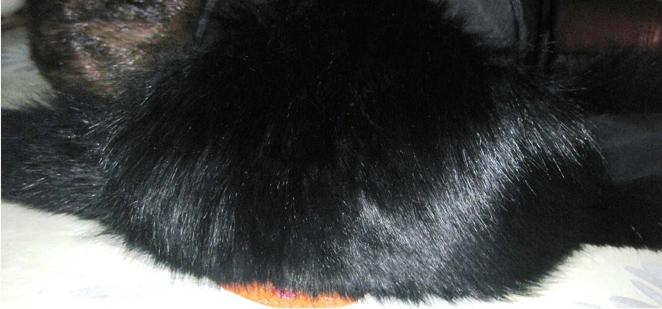 Новая шапка ушанка кролик черный - 15,000 тенге