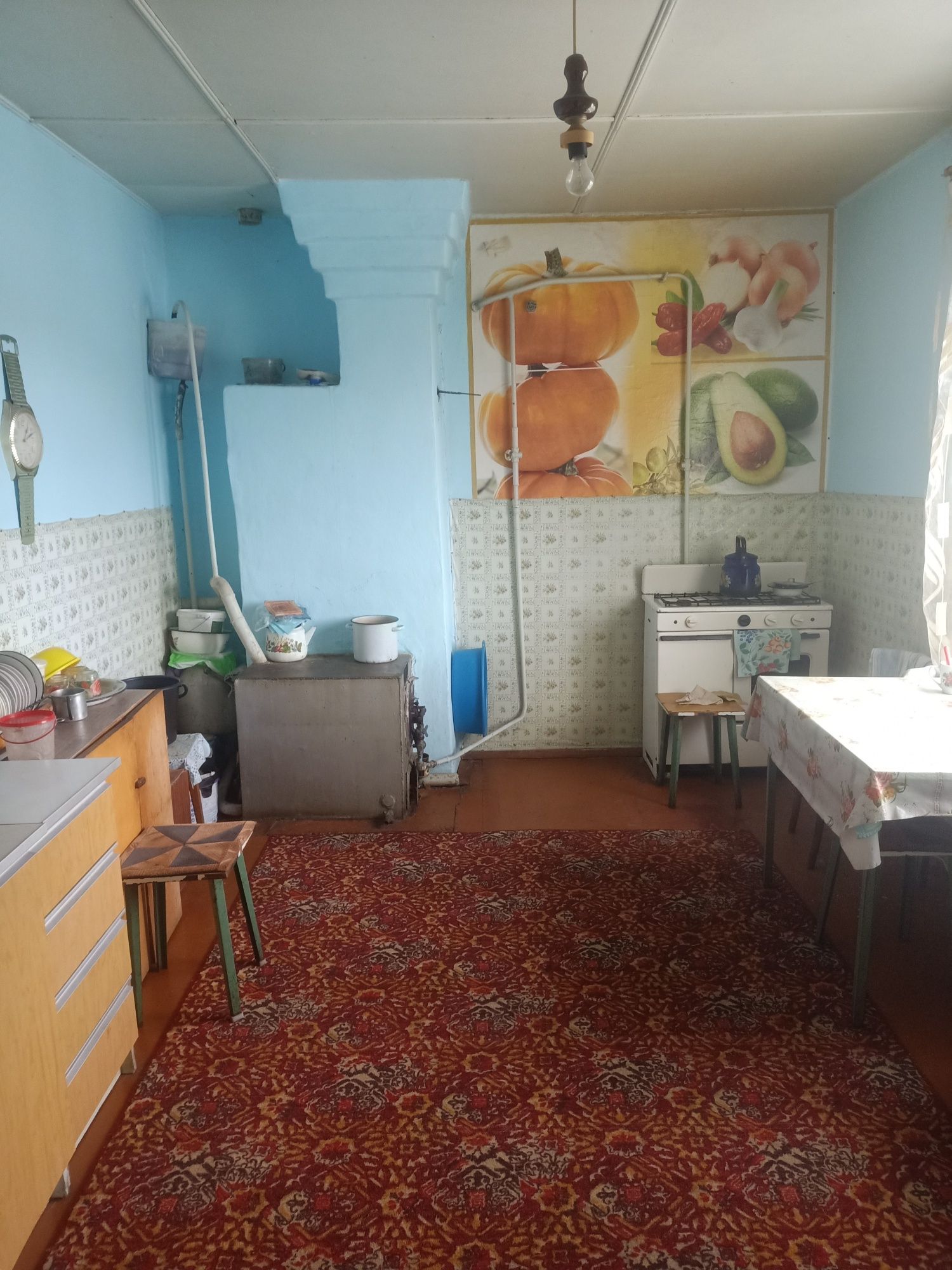 Продается дом в Садчиковке