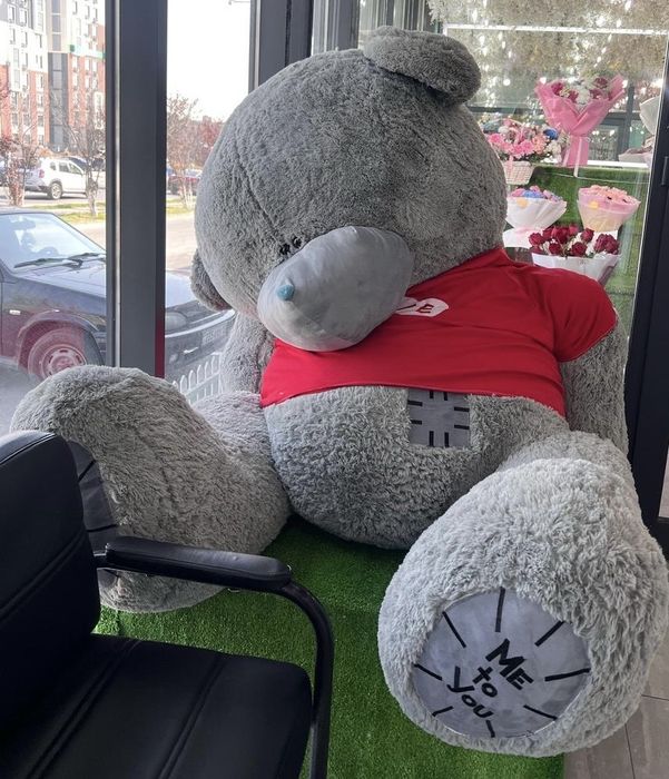 Продается Тедди