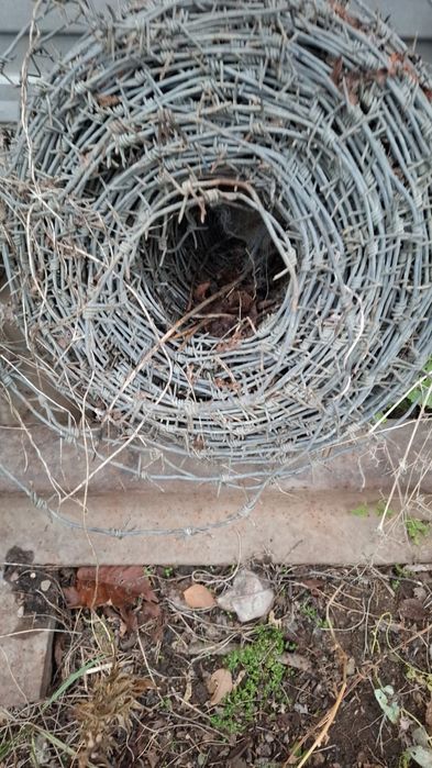 Продам колючую проволоку