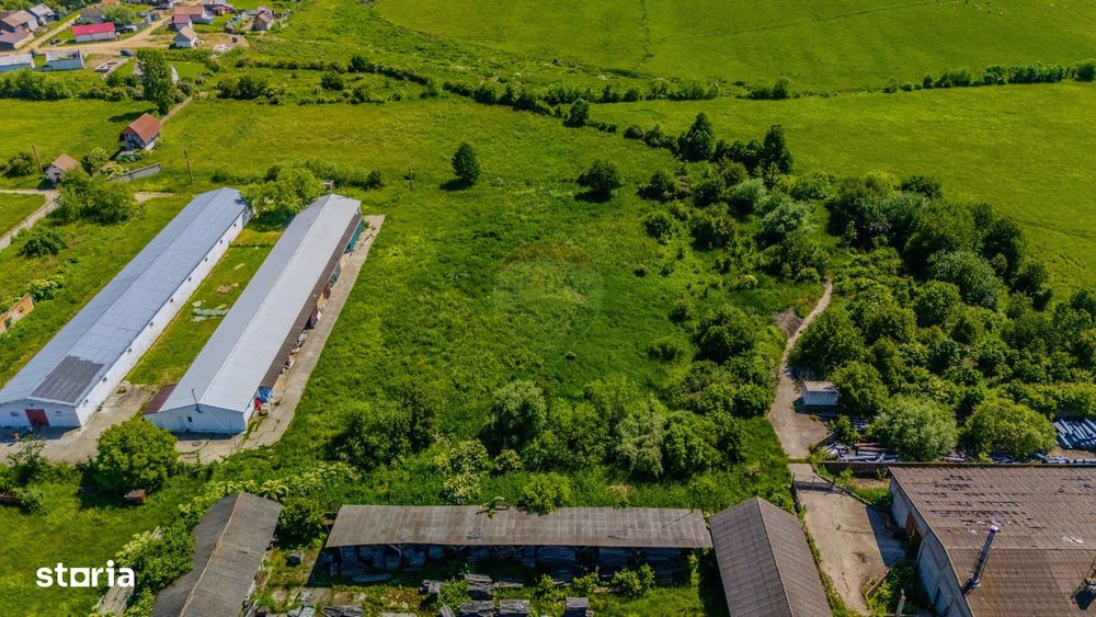 Teren de închiriat–9.335 mp, împrejmuit, camere TELIU (15 min Brașov)