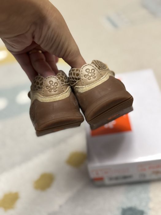 Adiasi Biomecanics nr 19