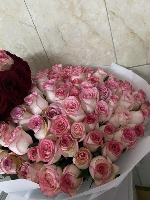 Продам 101 розы свежее