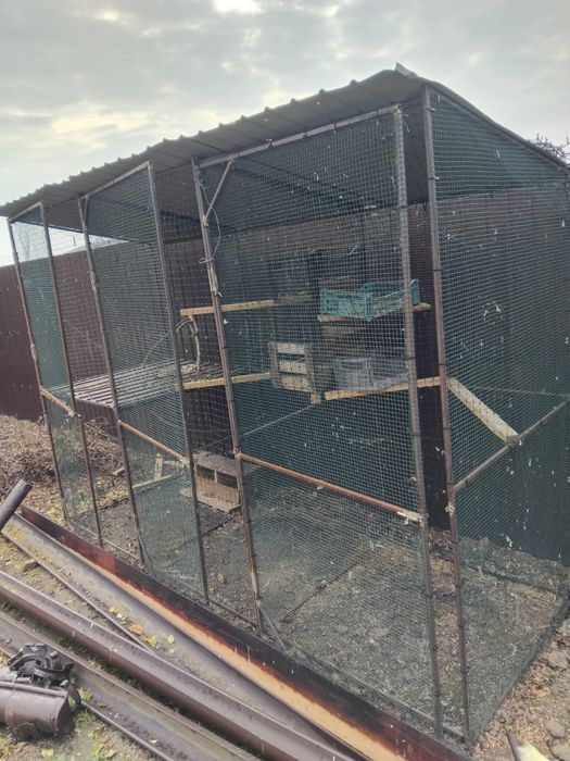 Vând cușcă porumbei