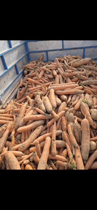 Marcovi prospeti pt consum 3 lei/kg