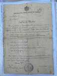 Certificat de absolvire 1895.