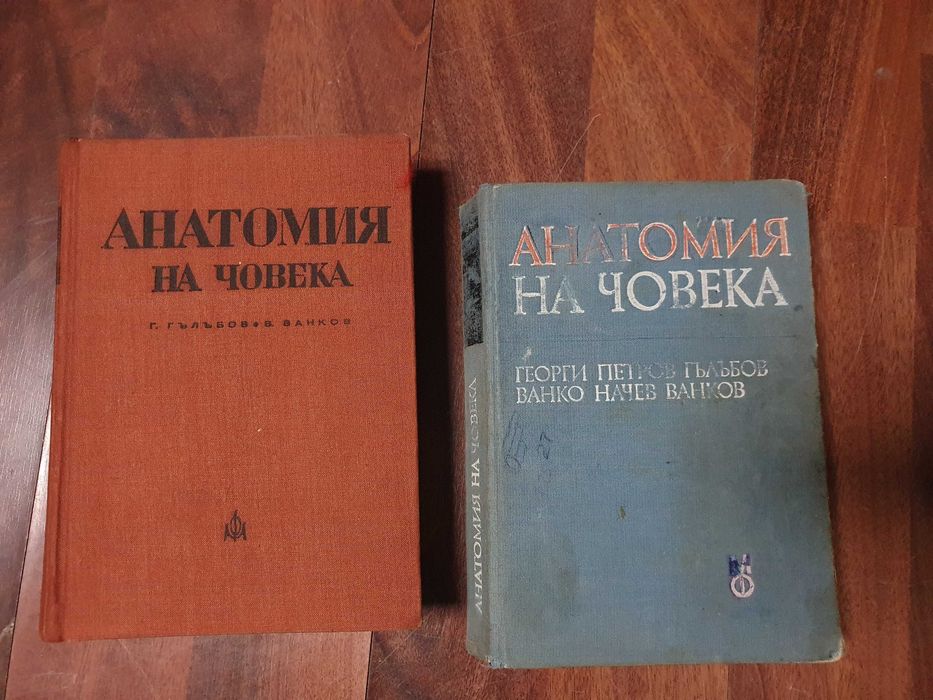 Атласи и учебник по анатомия за студенти по медицина