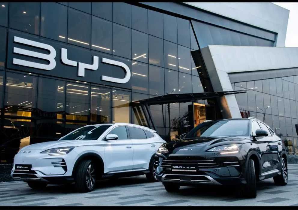 BYD Champion dm-i