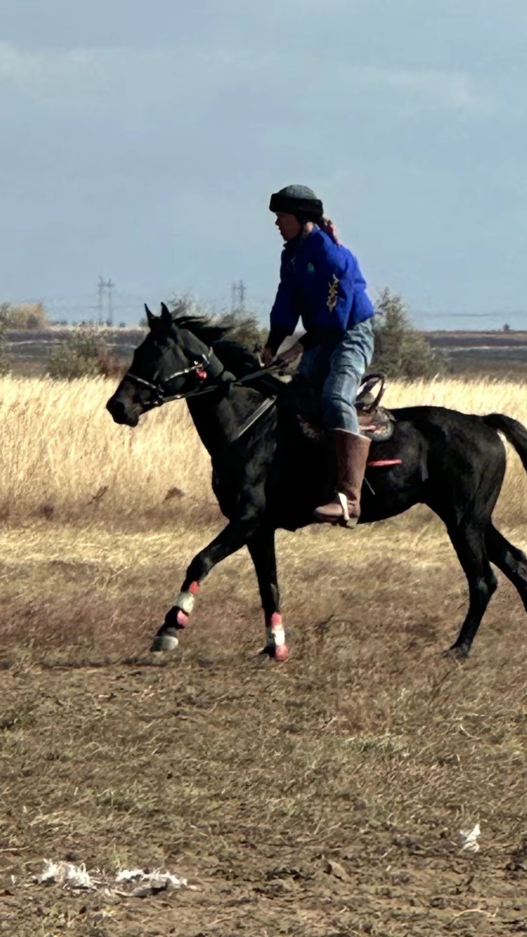 Айғыр сататам 1,2