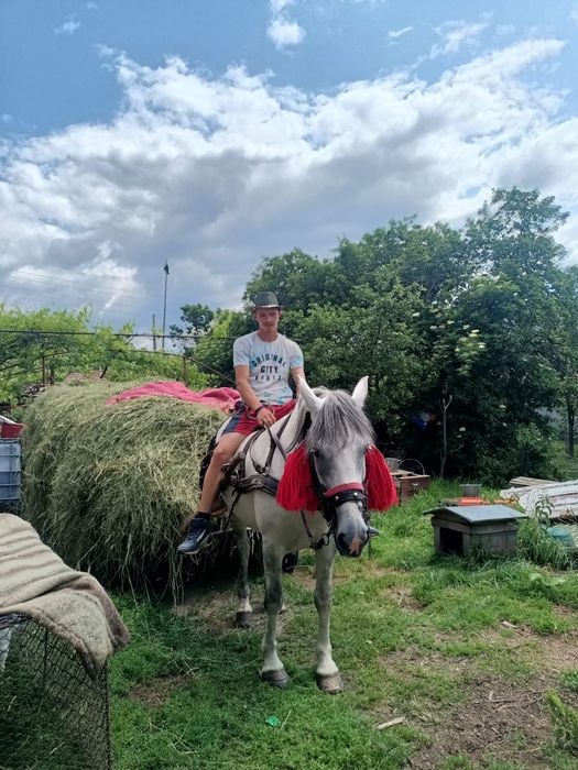 La schimb cu tractor unde e cazul dau diferența