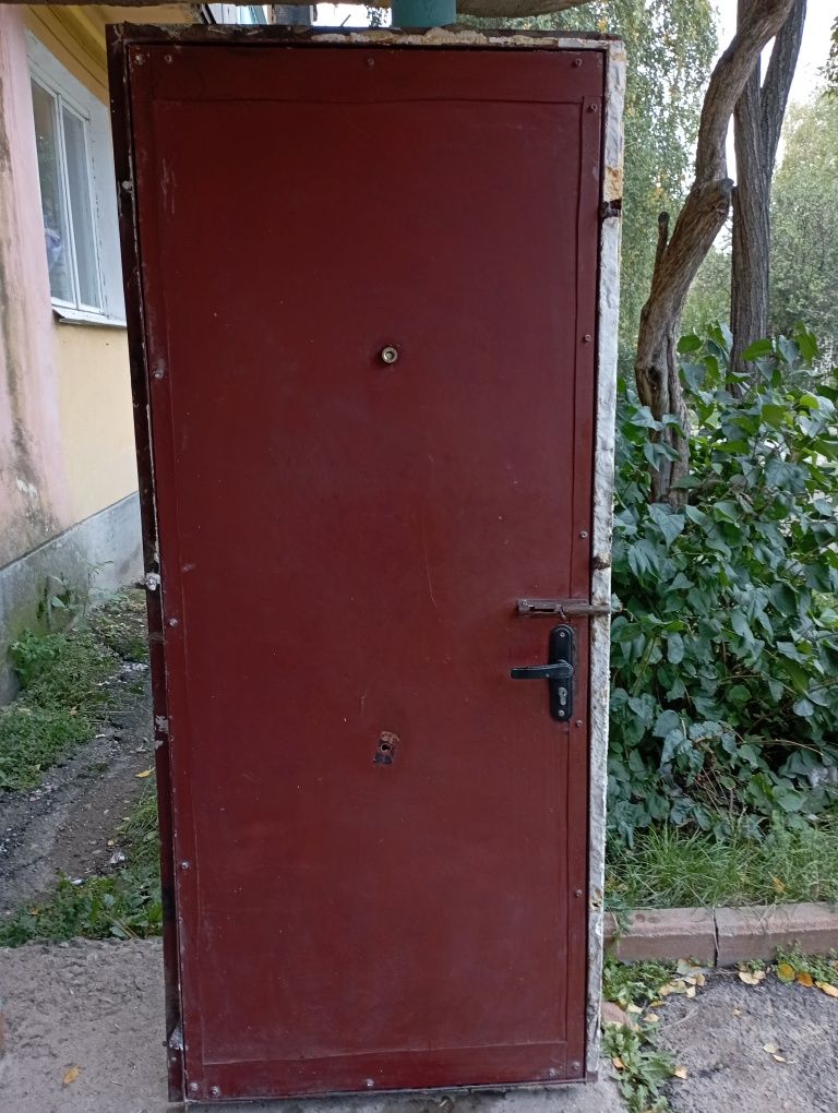 Дверь входная железная