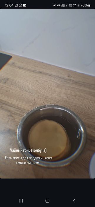 Чайный гриб комбуча
