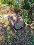 Vând Butoi de vin de 500 litri