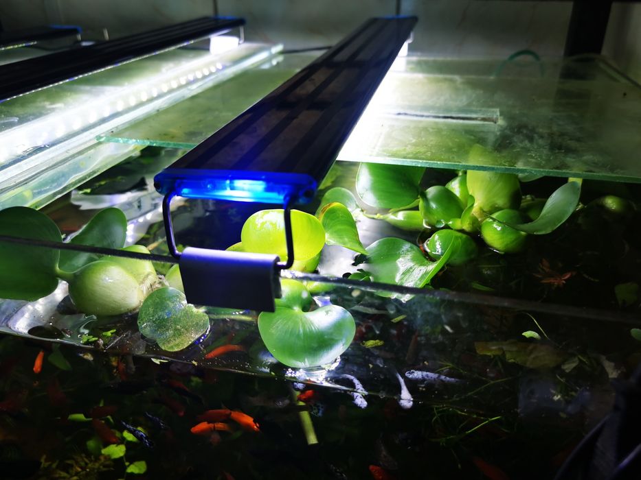 Lampa 60 cm pe Led- lumina puternica