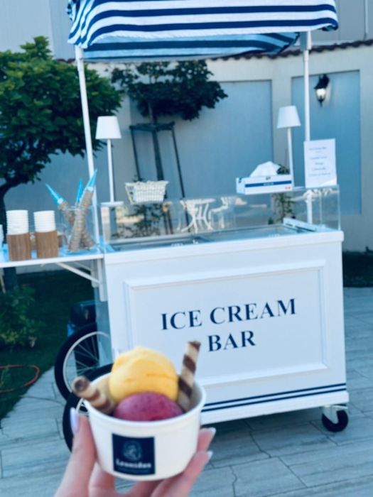 Ice Cream Bar inghetata artizanala