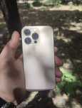 Iphone 13 pro ideal