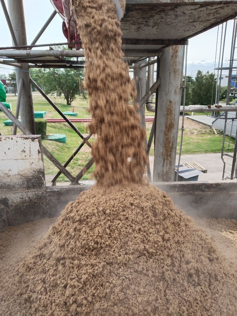 Барда Корум для откорма.