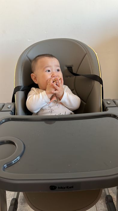 Стульчик для кормления, качеля 2 в1