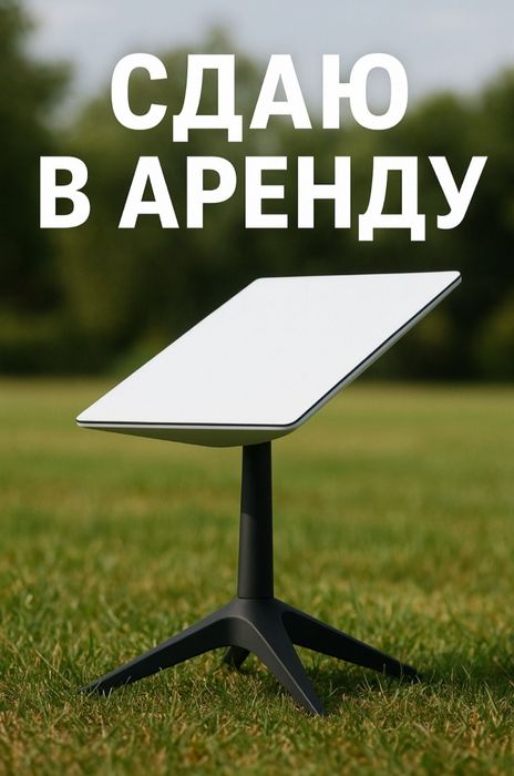 Сдам в аренду Starlink mini