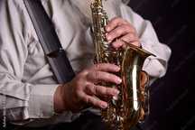 Ofer lecții saxofon alto,sopran si taragot