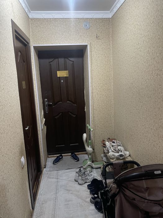 olmazor tumani nukus tetri yonida