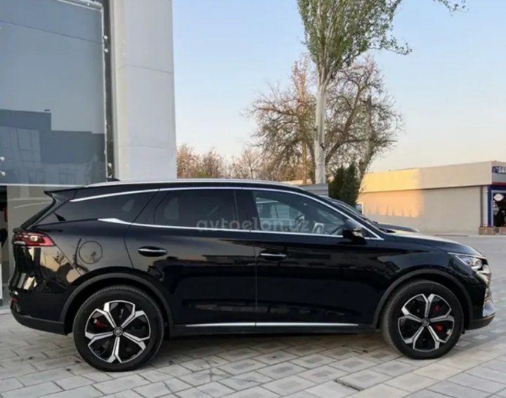 Byd tang ev 2024