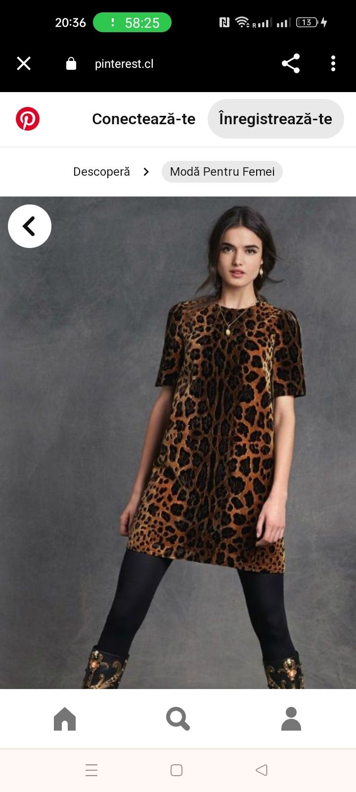 Dolce Gabbana leopard print