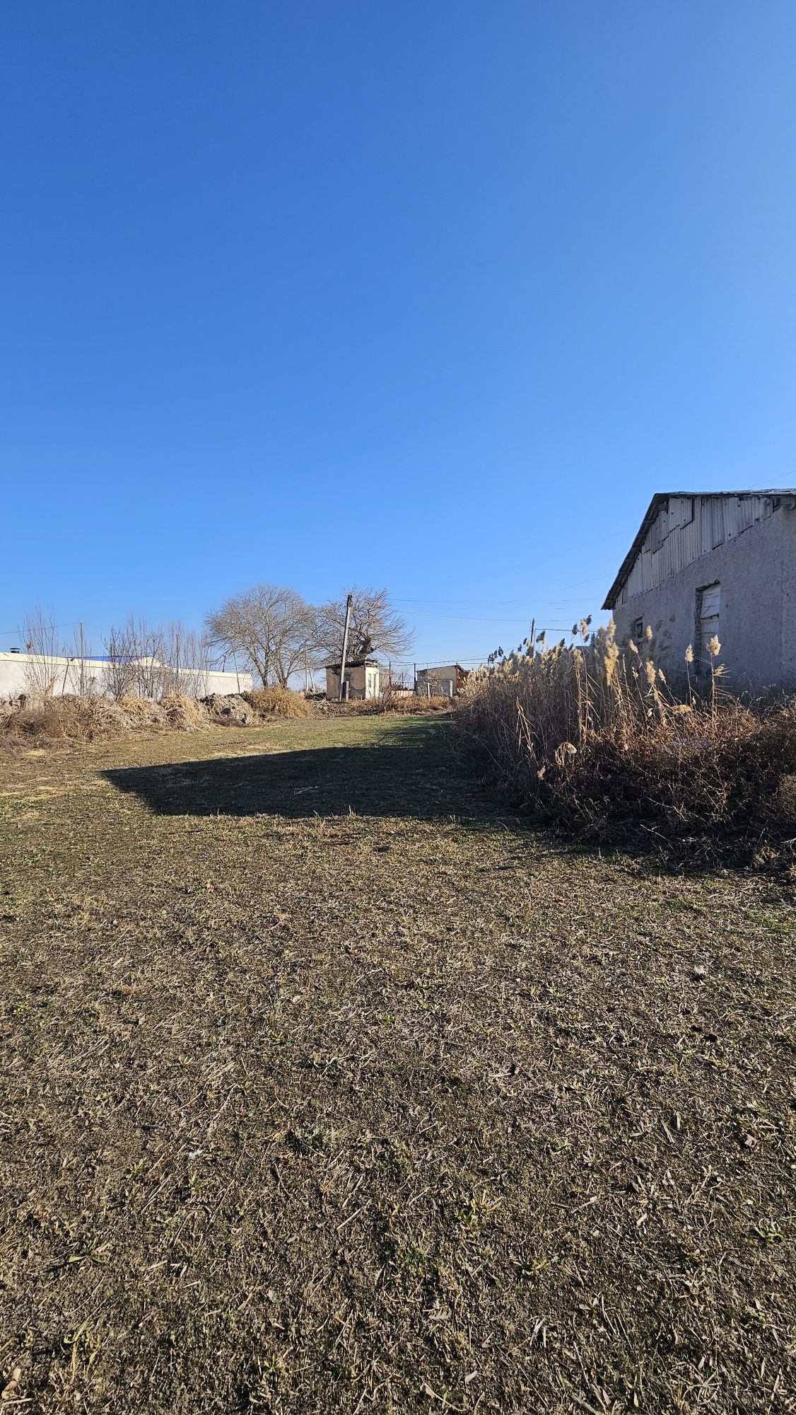 Buxoro viloyati Buxoro tumani Tutuxushda tovuqxona